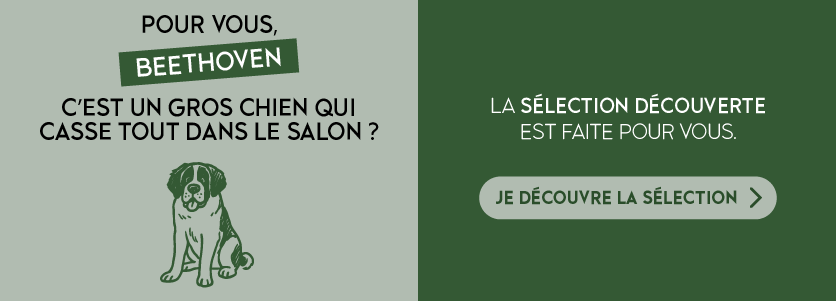 Pour vous, Beethoven, c’est un gros chien qui casse tout dans le salon ? La sélection découverte est faite pour vous. Des concerts spécialement choisis pour une entrée en matière réussie dans le monde du classique