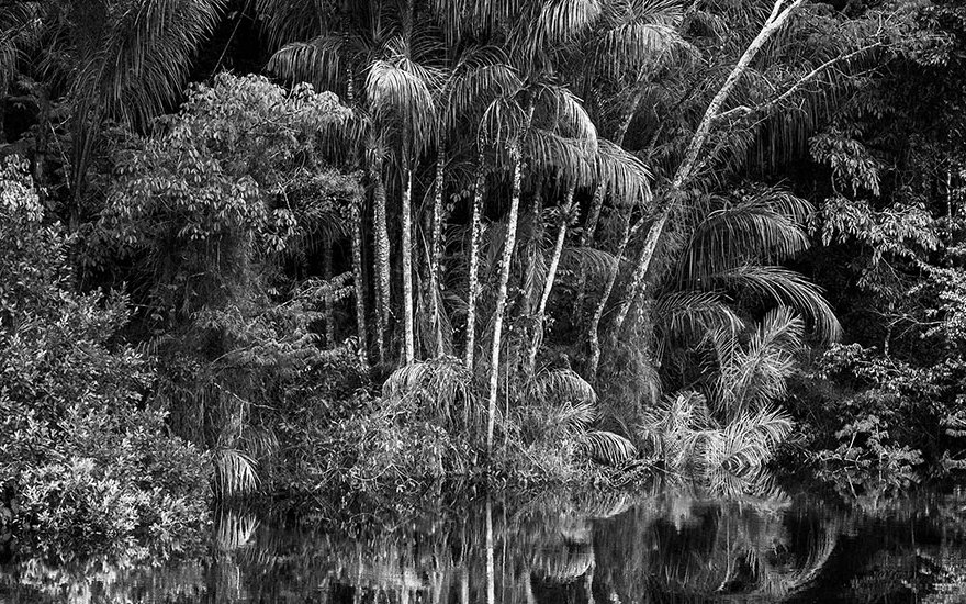 Salgado Amazônia